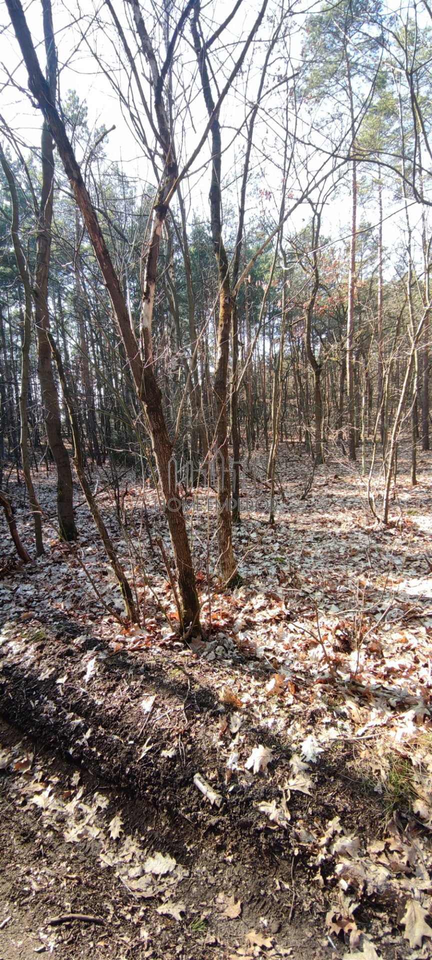 Działka leśna 1 654 m², Warszawa, Białołęka