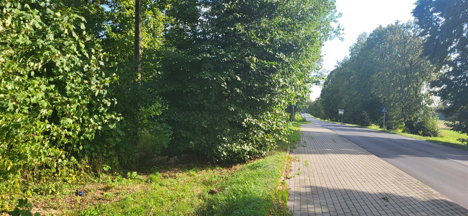 Działka budowlana i rolna 2 061 m², Suchoczasy