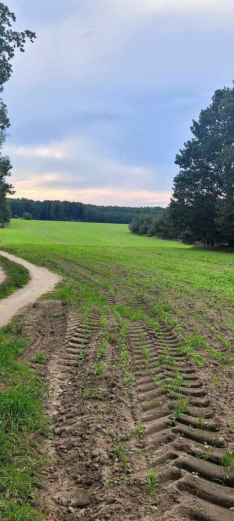 Działka rolna 3,3 ha, Niesułków-Kolonia