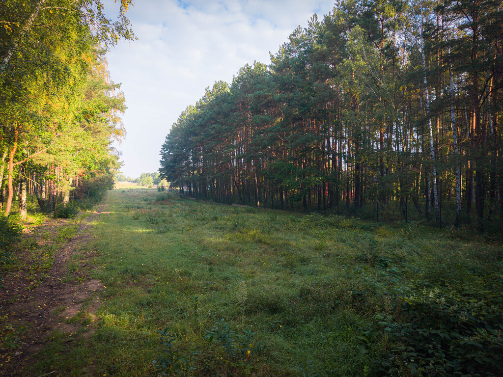 Działka budowlana 2 646 m², Sokolniki