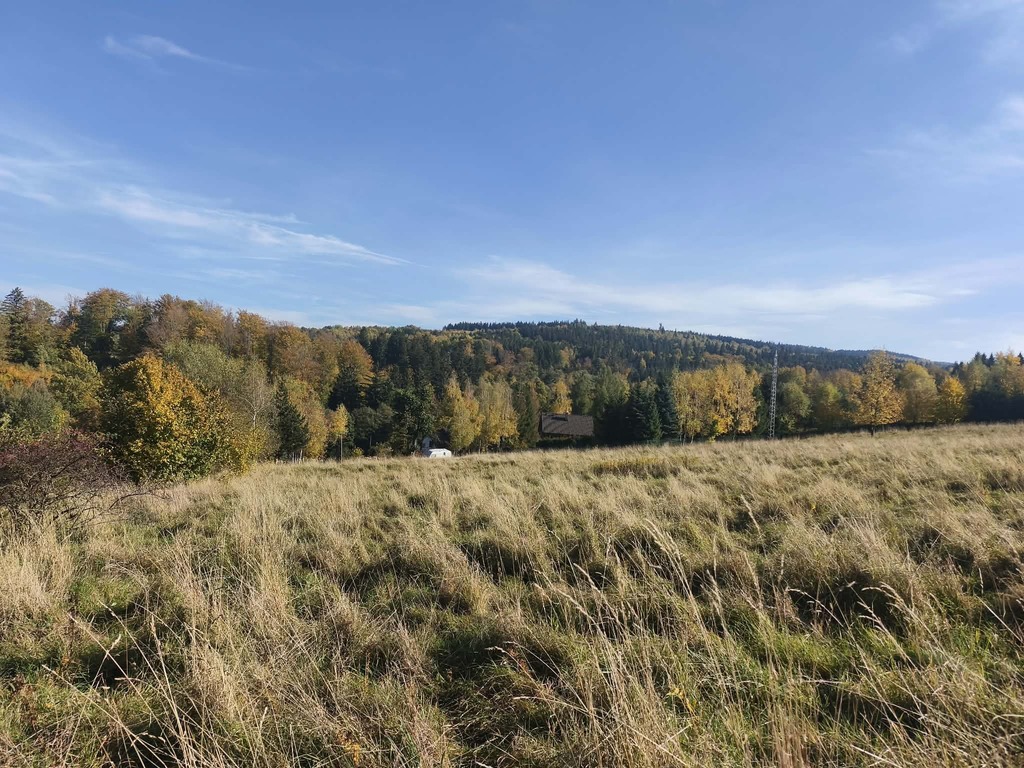 Działka budowlana 2 000 m², Walim