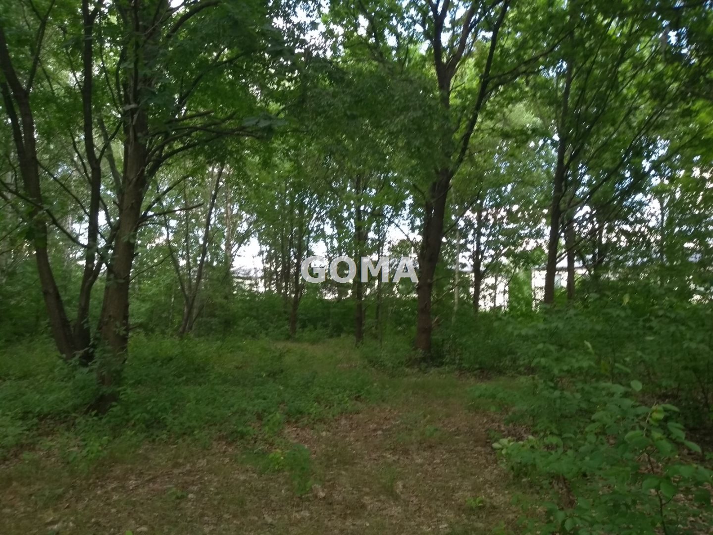 Działka budowlana 1,16 ha, Sulejówek