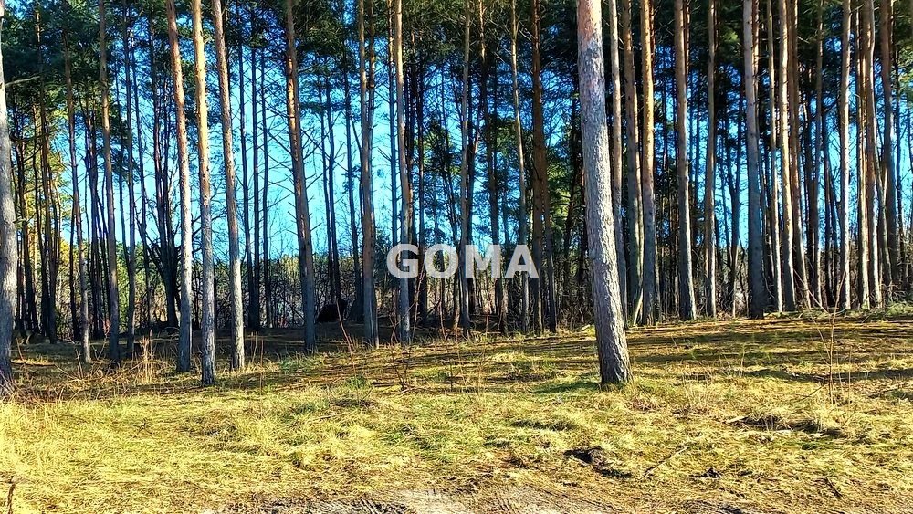 Działka budowlana 2 600 m², Konstancin Jeziorna, Chylice Letnisko