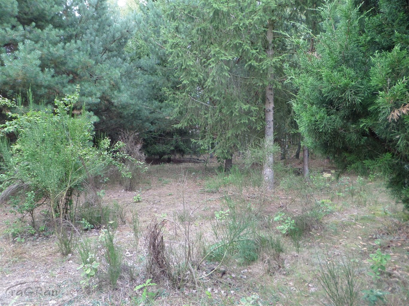 Działka budowlana 6 200 m², Śladów