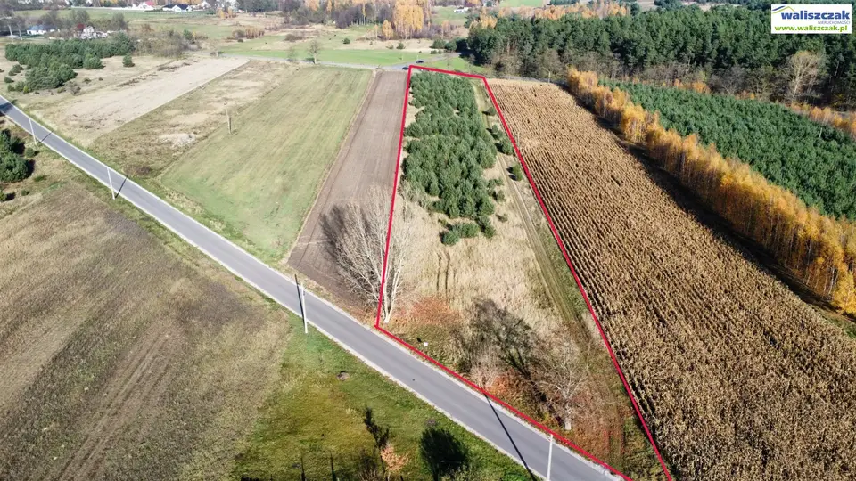 Działka budowlana i rolna 7 996 m², Daniszewice