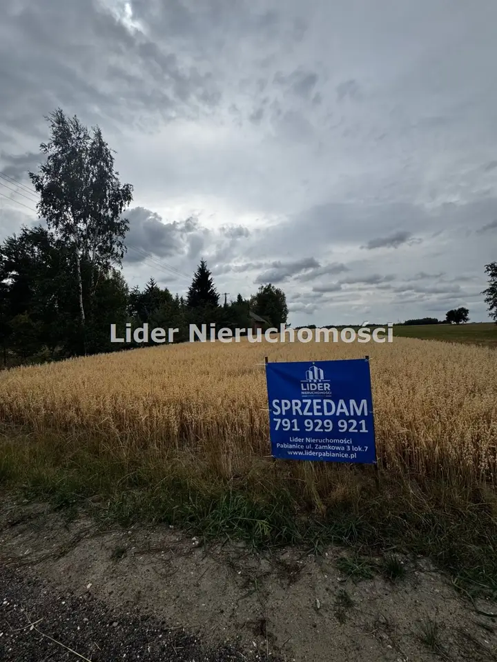 Działka budowlana 7 900 m², Wodzierady
