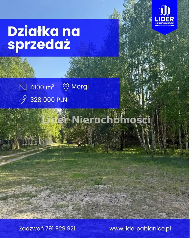 Działka budowlana 4 100 m², Ldzań, Morgi