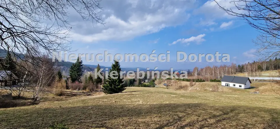 Działka budowlana i inwestycyjna 2 001 m², Świeradów-Zdrój