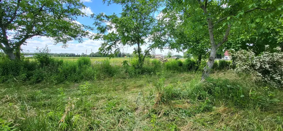 Działka rolna 4 658 m², Janiszewice, Karolew