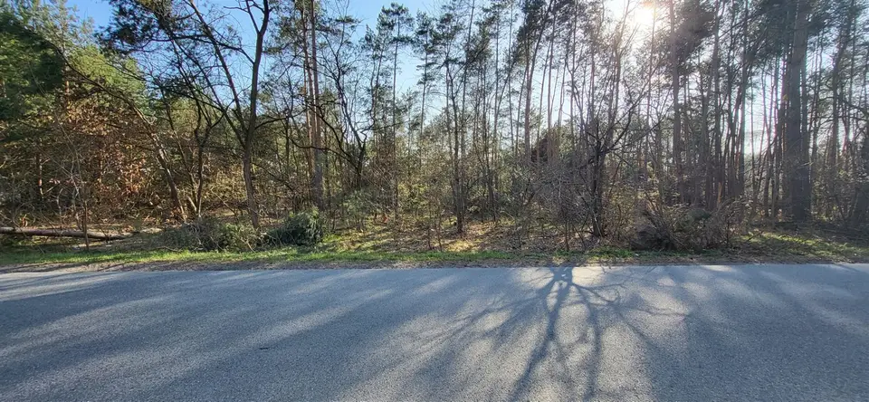 Działka budowlana 2,43 ha, Grabno
