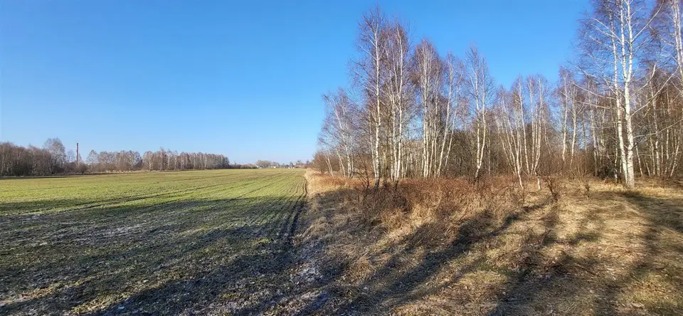 Działka rolna 2,46 ha, Zduńska Wola, Łaska