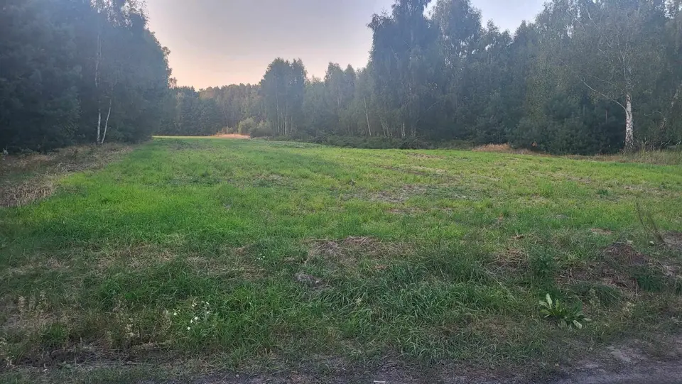 Działka rolna 3 838 m², Korczew