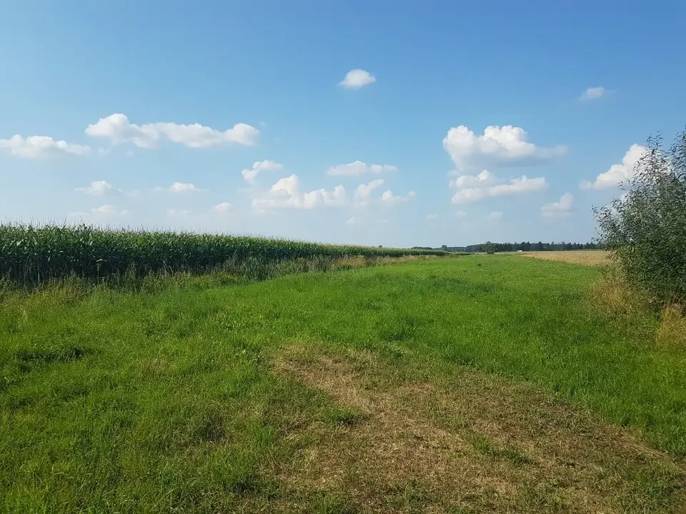 Działka budowlana 9 540 m², Michałów