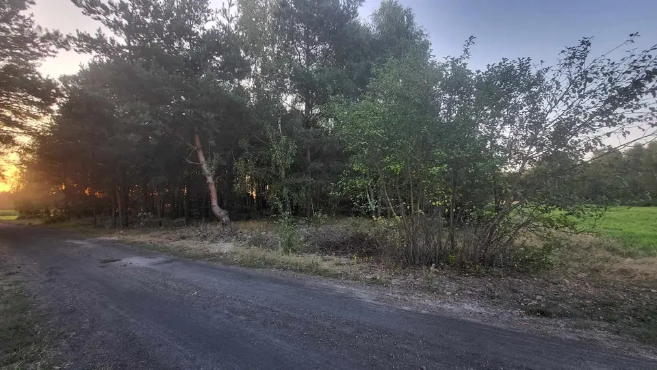 Działka rolna i leśna 2 236 m², Korczew