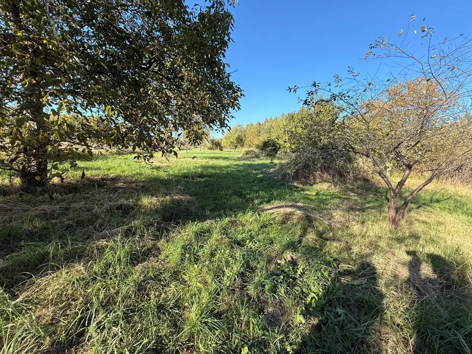 Działka budowlana 4 700 m², Zduńska Wola