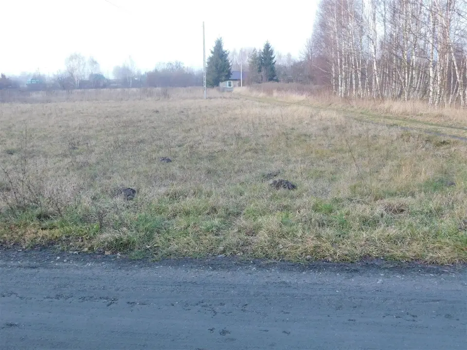 Działka inwestycyjna 8 787 m², Zduńska Wola