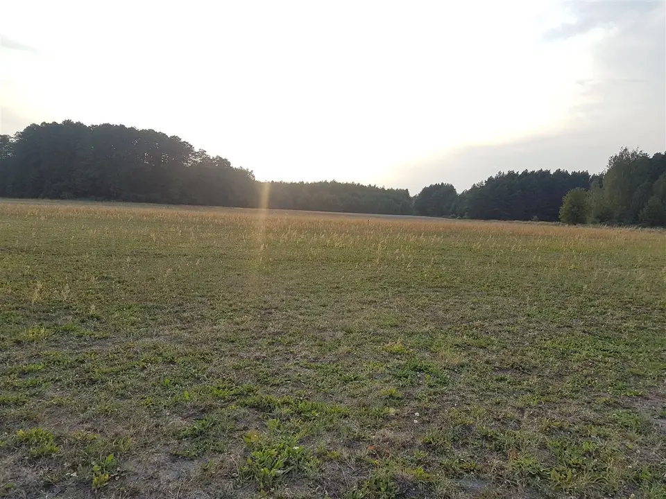 Działka budowlana 1 400 m², Ptaszkowice