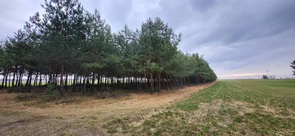 Działka rolna i leśna 1,19 ha, Lichawa