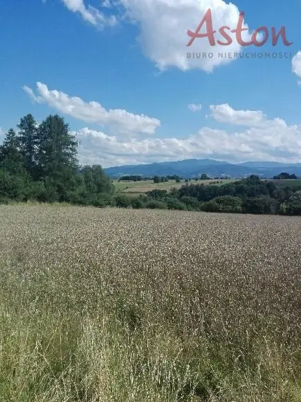 Działka rekreacyjna 800 m², Lipowa