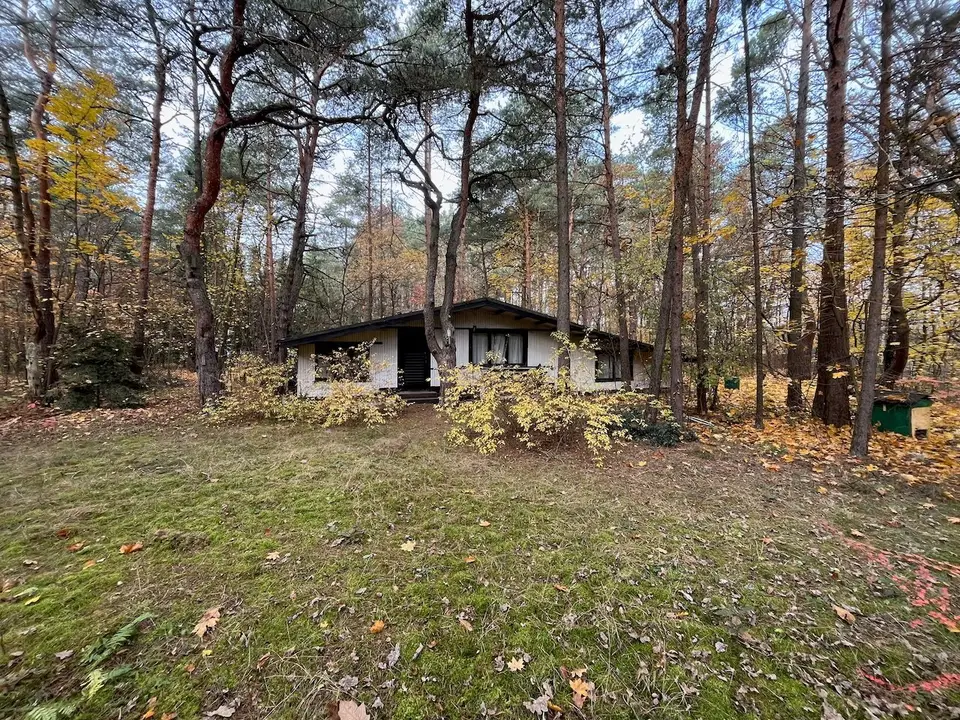 Działka budowlana i leśna 6 800 m², Władysławów