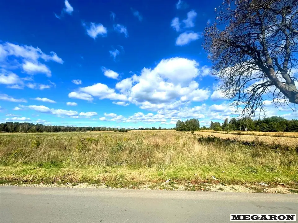 Działka rolna 9 180 m², Jamno, Rusinów