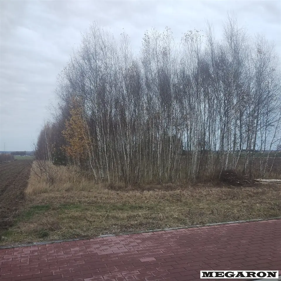 Działka budowlana i rolna 8 948 m², Miedźno