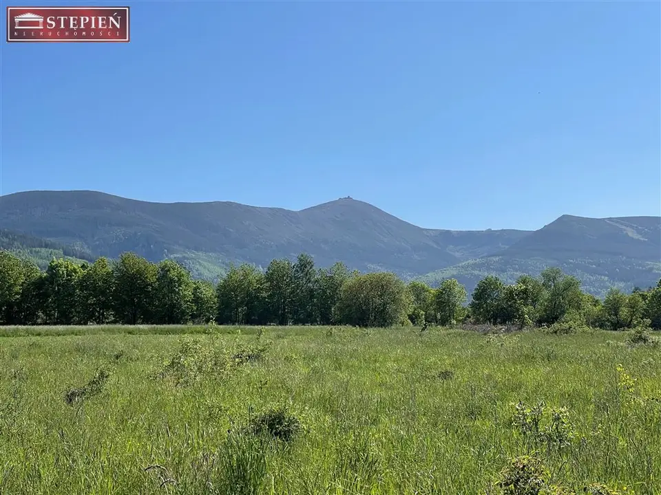 Działka budowlana 3 044 m², Ściegny