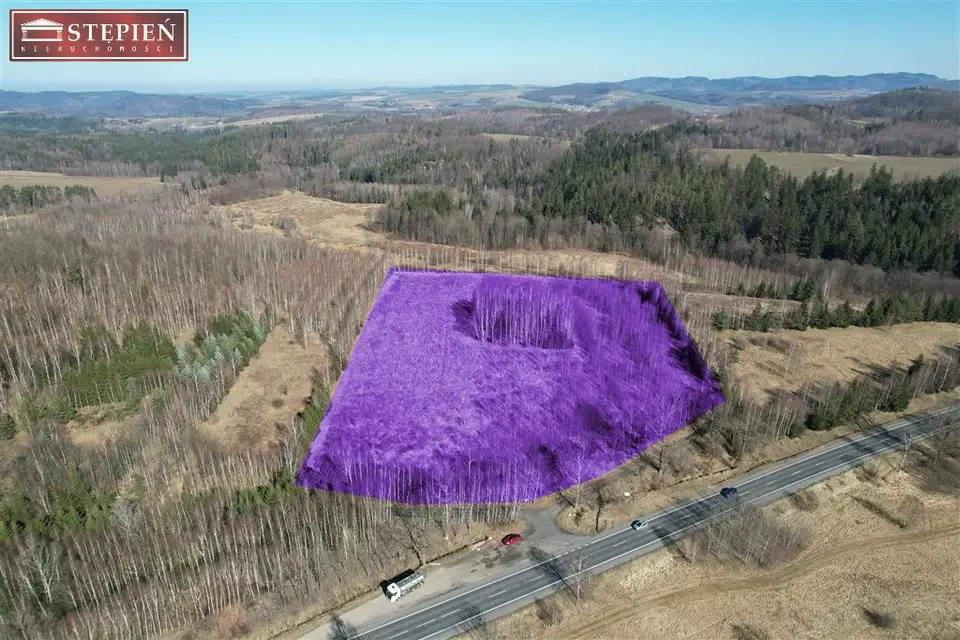 Działka budowlana 2,67 ha, Stara Kamienica, Rybnica