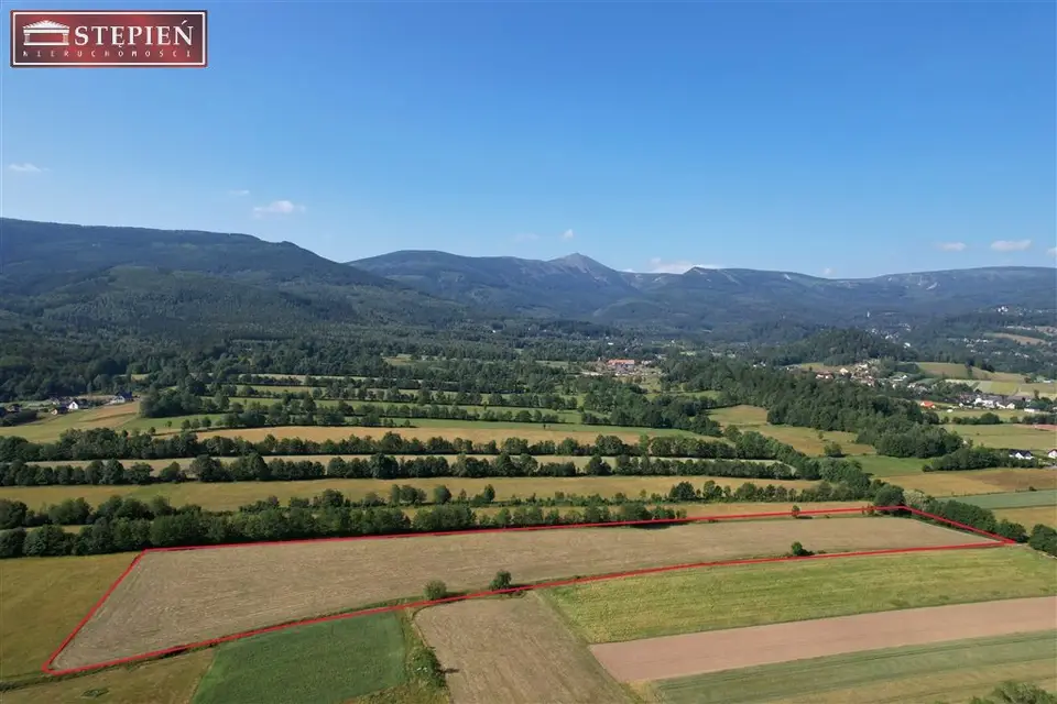 Działka budowlana 2,53 ha, Ściegny