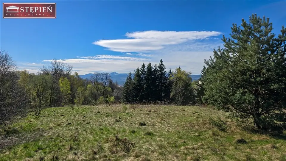 Działka budowlana 3 401 m², Wojcieszyce