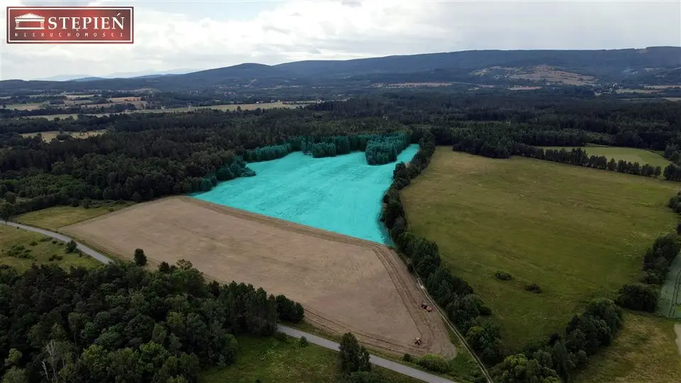 Działka rolna 8,4 ha, Mirsk