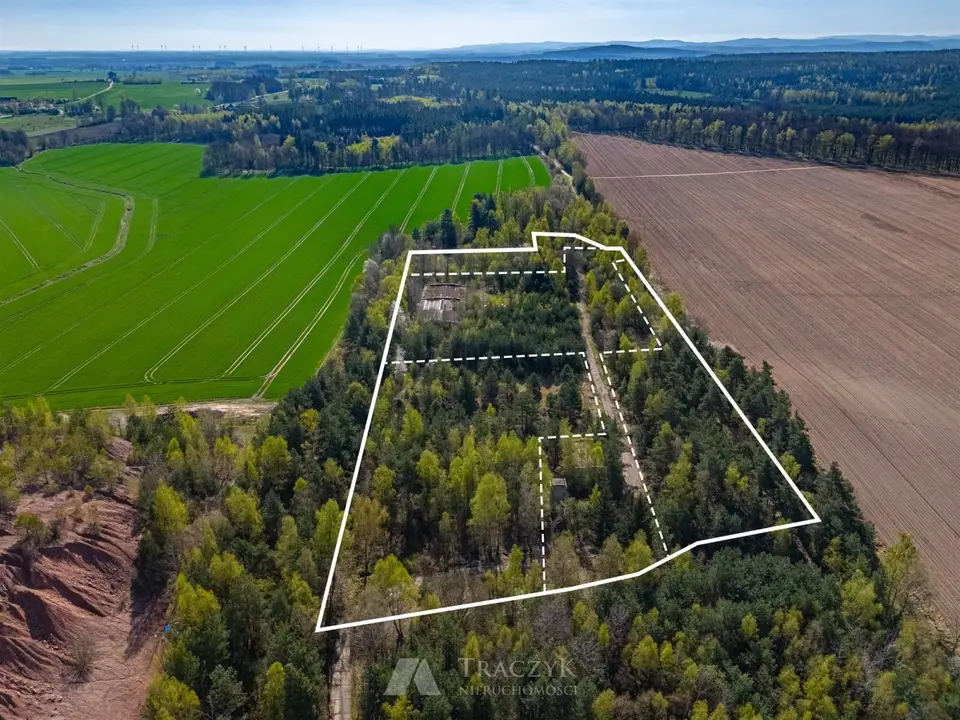 Działka budowlana i inwestycyjna 3,02 ha, Iwiny
