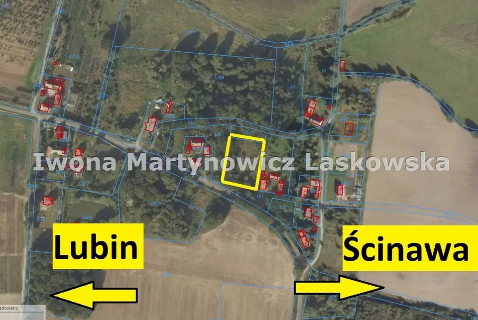 Działka budowlana 3 000 m², Dąbrowa Dolna, Dąbrowa Środkowa