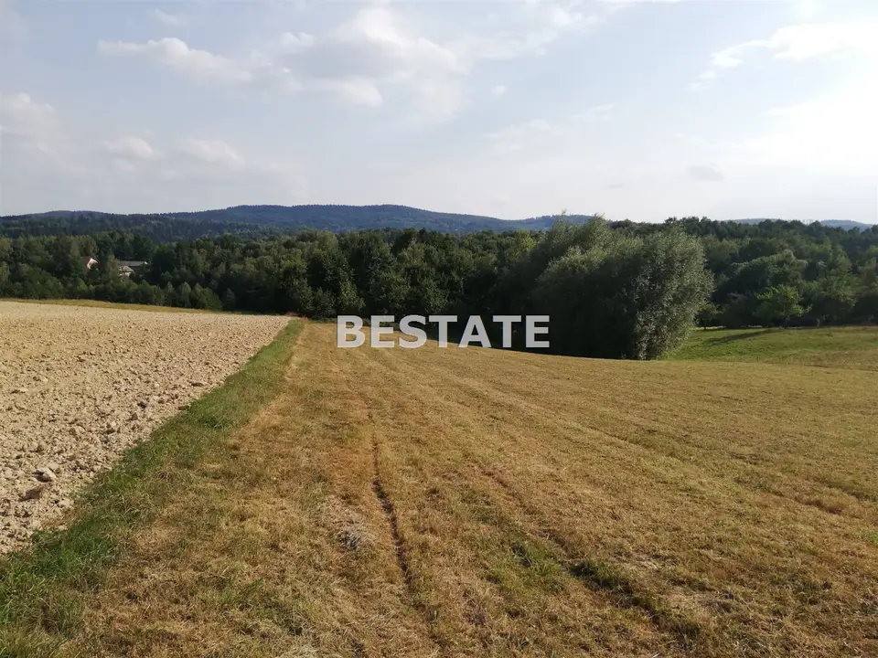 Działka budowlana 5 300 m², Ryglice, Joniny