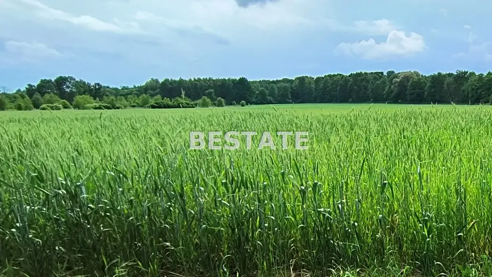 Działka rolna 1,3 ha, Lubnów, Nowosielce