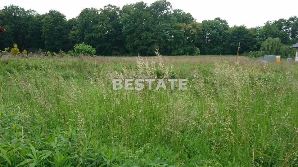 Działka siedliskowa 4 800 m², Zachowice