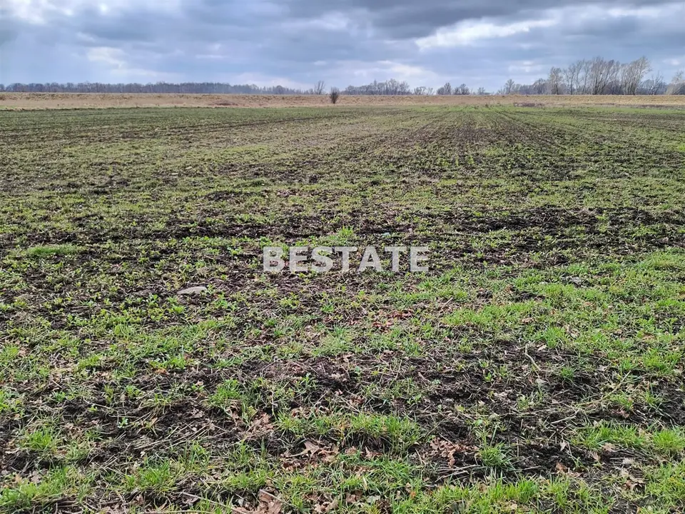 Działka rolna 8 400 m², Uraz