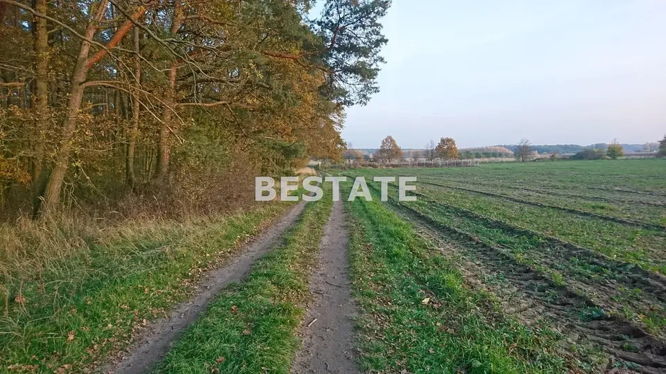Działka rolna 3 000 m², Pęgów