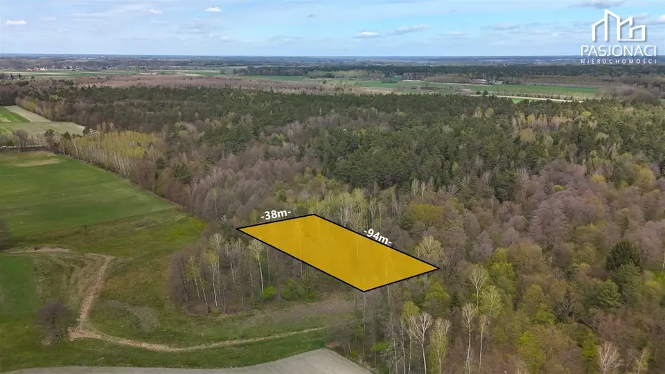 Działka leśna 3 400 m², Juliopol