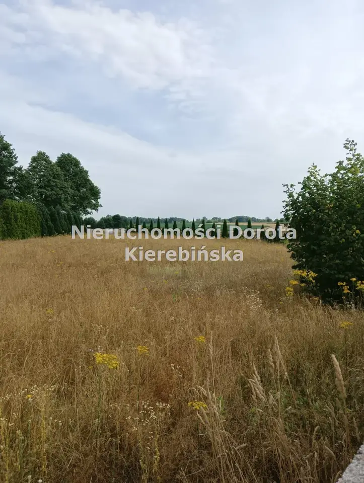 Działka budowlana, rekreacyjna i inwestycyjna 2 100 m², Krzykowska Wólka