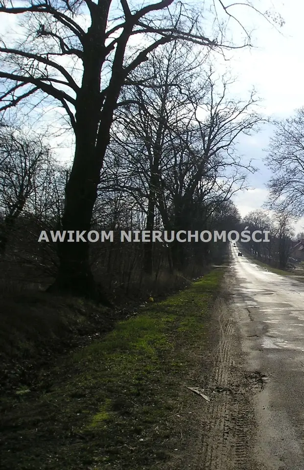 Działka rolna 1,65 ha, Skierniewice, Dębowa Góra