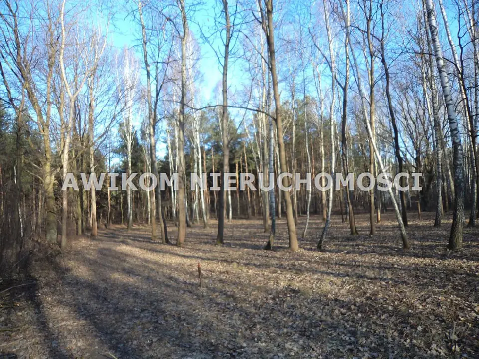 Działka budowlana 3 000 m², Milanowek, Polesie