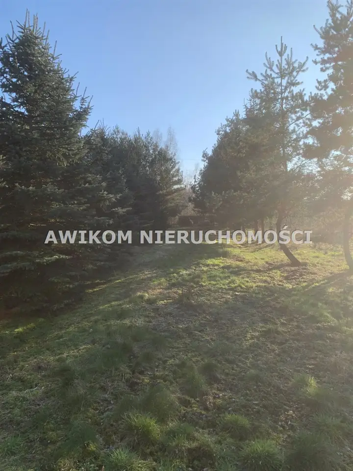 Działka budowlana i inwestycyjna 1,02 ha, Adamowice