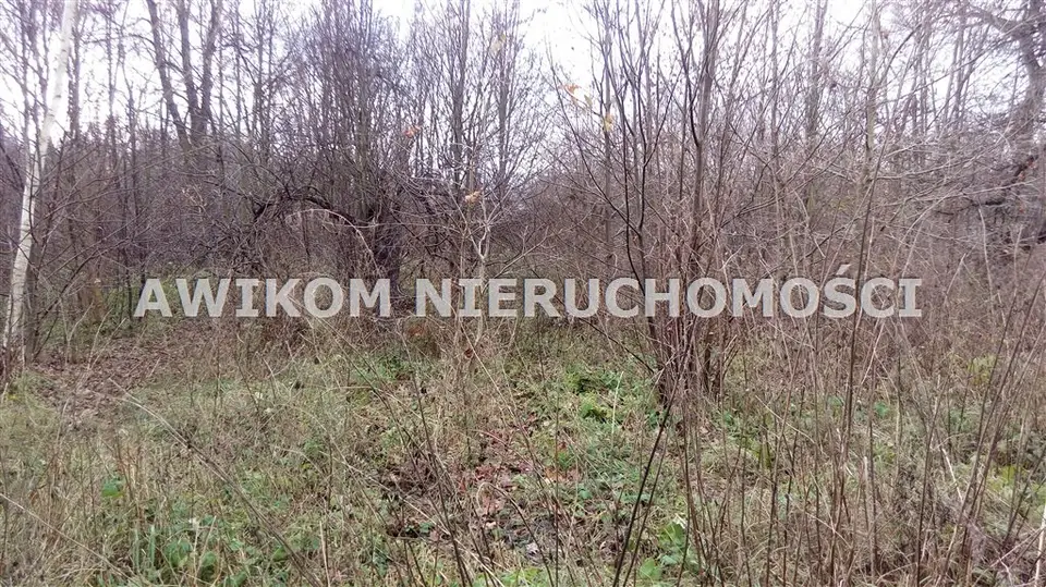 Działka siedliskowa 3 000 m², Sokule