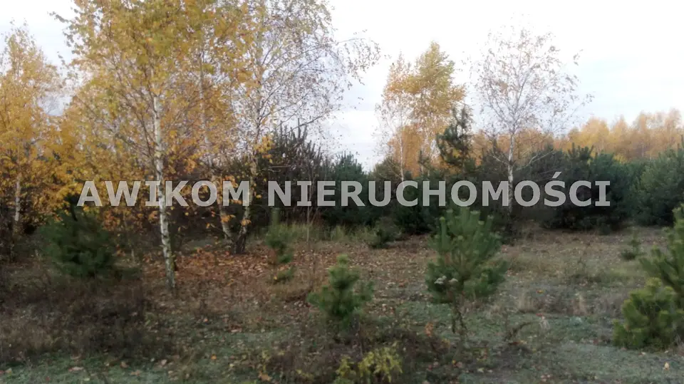 Działka budowlana 4 170 m², Adamów-Wieś