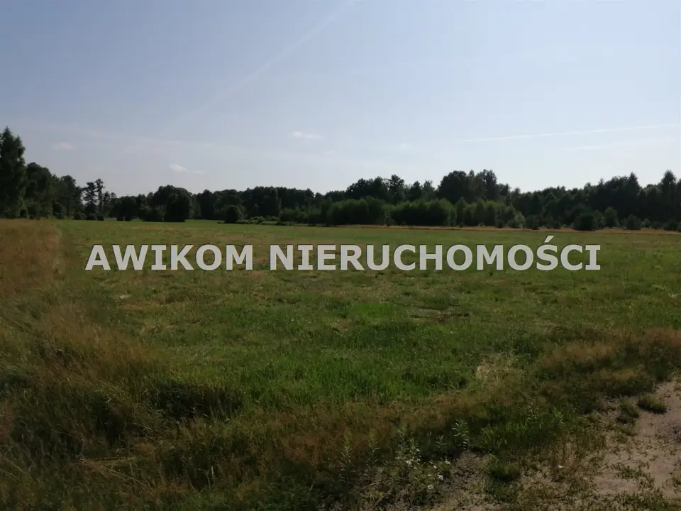 Działka siedliskowa i rolna 1,1 ha, Stare Budy Radziejowskie