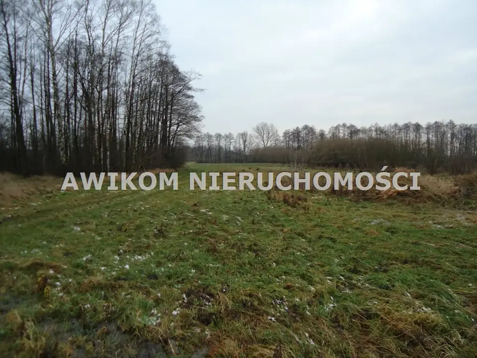 Działka inwestycyjna i rolna 5 900 m², Stanisławów