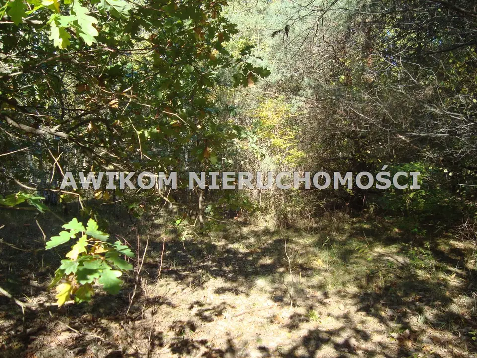 Działka rolna 2,69 ha, Lutkówka Druga