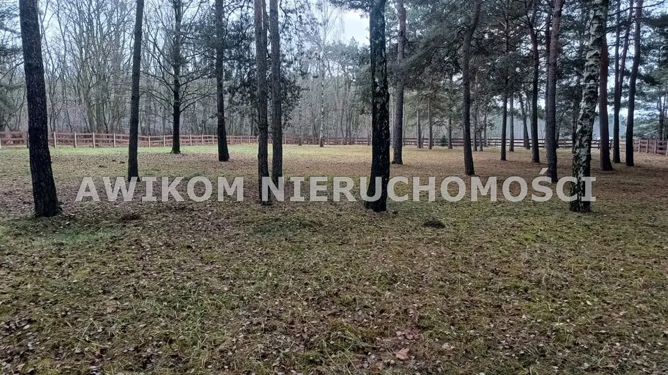 Działka budowlana i leśna 3 975 m², Puszcza Mariańska