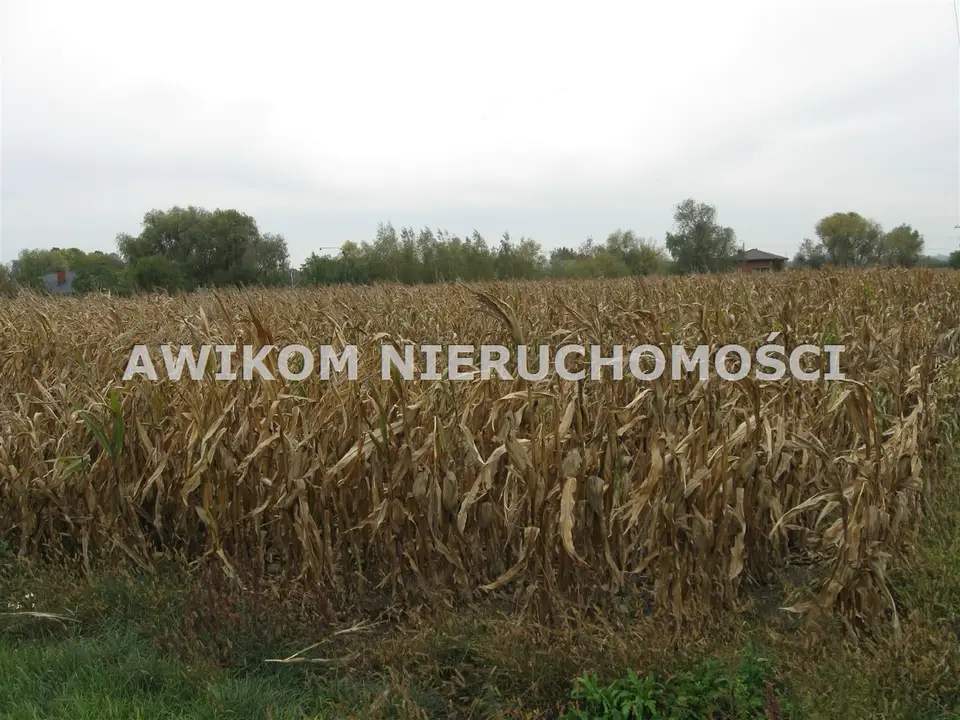 Działka budowlana 3 000 m², Kłudno Nowe